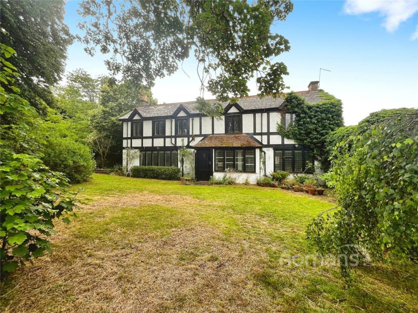 What October’s auction results reveal for today’s sellers and buyers