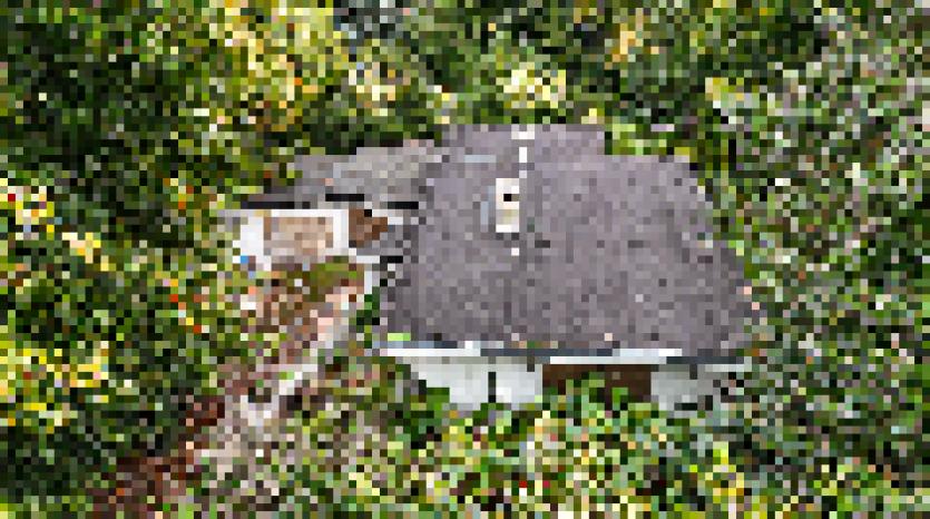 What October’s auction results reveal for today’s sellers and buyers