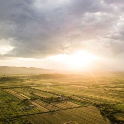 Buying Land at Auction: A Guide to Opportunities and Pitfalls