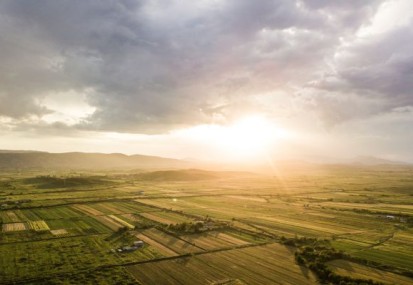 Buying Land at Auction: A Guide to Opportunities and Pitfalls